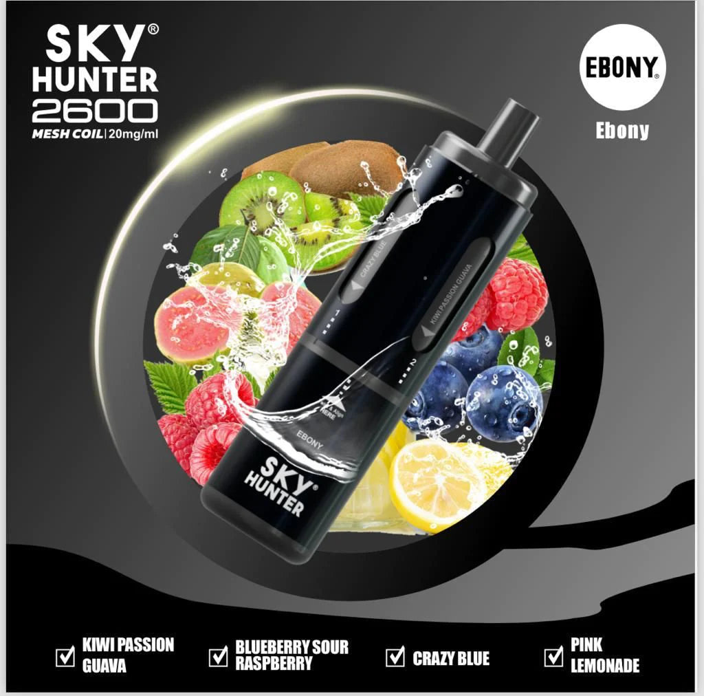 Sky Hunter 2600 Puffs Disposable Vape Pod ebony